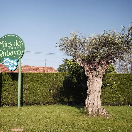 Kır Evi Rural Mies De Rubayo